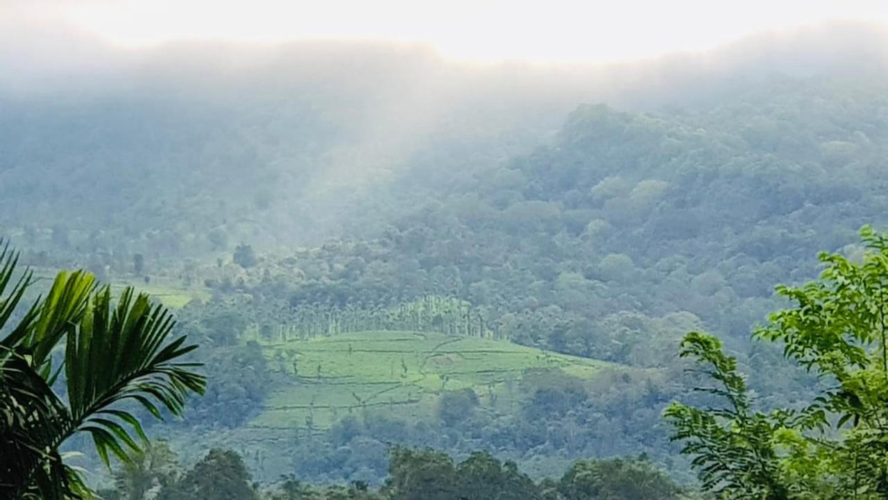Wayanad Doubletree Villa Vythiri Exterior photo