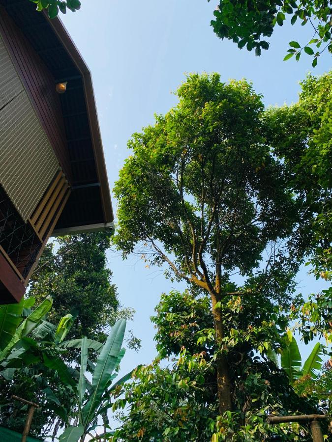 Wayanad Doubletree Villa Vythiri Exterior photo